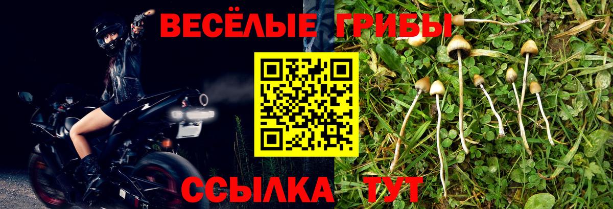 Галлюциногенные грибы прущие грибы Ижевск